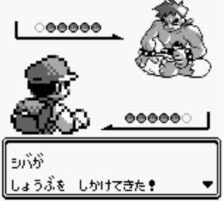 ポケモン シバは四天王最弱と言ってもいいほど弱かった